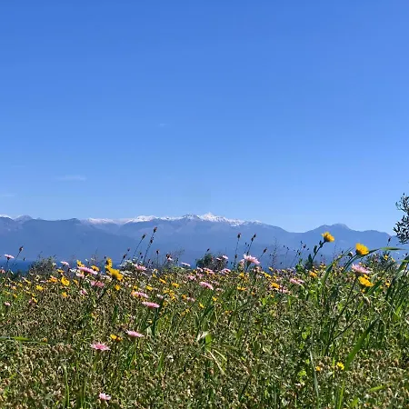 Delfini Appartamento Chrani