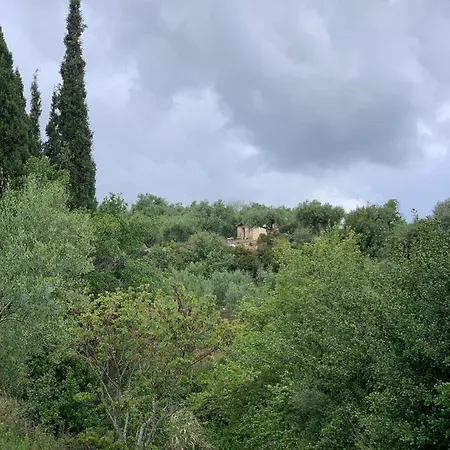 Delfini Appartamento