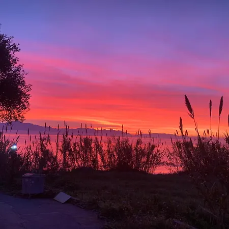 Appartamento Delfini