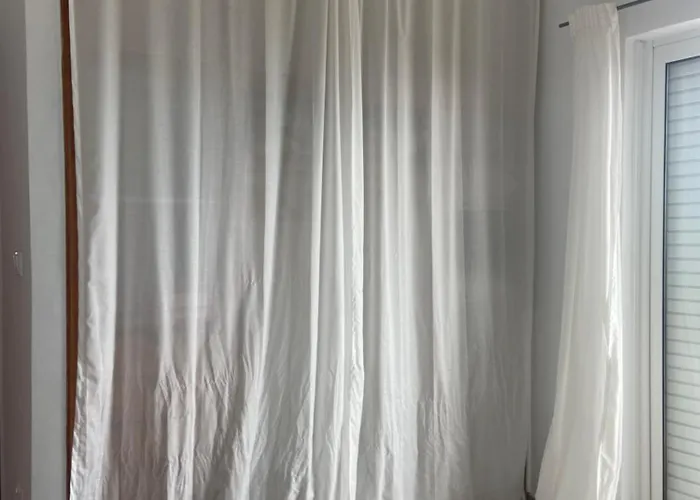 Delfini Daire