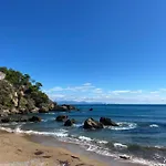 Delfini