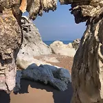 Delfini