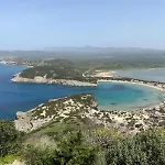 Delfini * Chrani