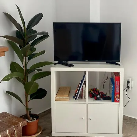 Apartment Delfini