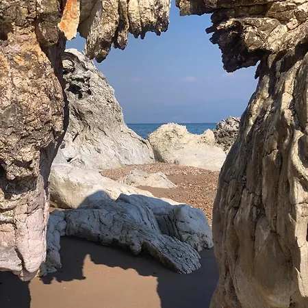 Delfini