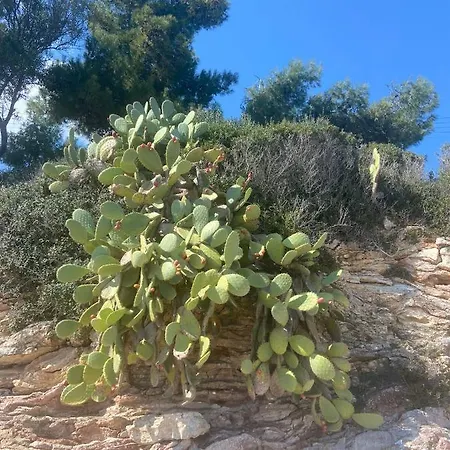 Delfini Appartement *