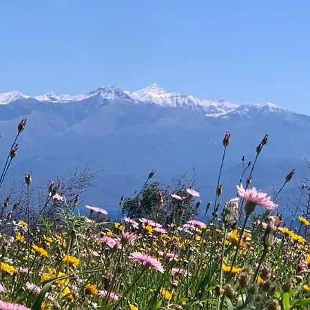 Apartmán Delfini Chrani