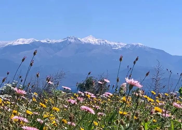 Apartment Delfini Chrani