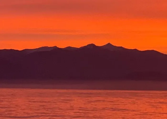 Delfini Apartamento *